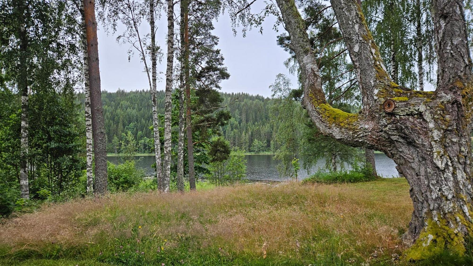 Kilsborgs Gard - Lakehouse Svanskog Dış mekan fotoğraf